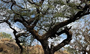 Terreno en venta en Tepoztlán Morelos