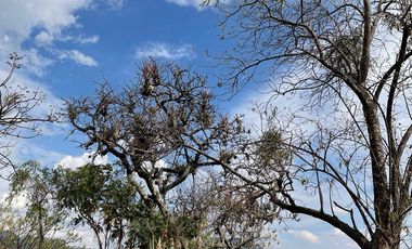 Terreno en venta en Tepoztlán Morelos