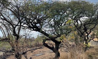 Terreno en venta en Tepoztlán Morelos