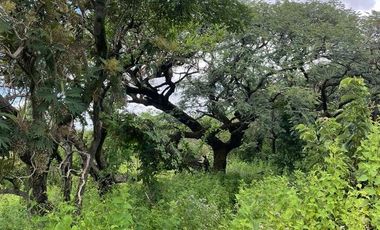 Terreno en venta en Tepoztlán Morelos
