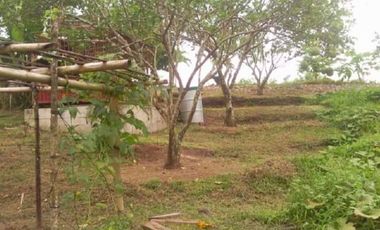 House and Lot with Farm for Sale in Davao del Norte