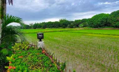 House and Lot with Farm for Sale in Davao del Norte