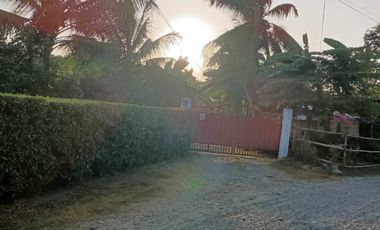 House and Lot with Farm for Sale in Davao del Norte