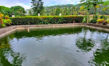 House and Lot with Farm for Sale in Davao del Norte