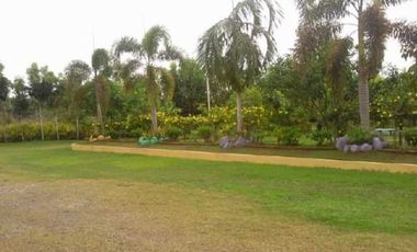 House and Lot with Farm for Sale in Davao del Norte