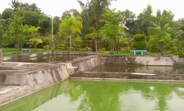 House and Lot with Farm for Sale in Davao del Norte