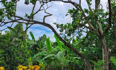 House and Lot with Farm for Sale in Davao del Norte