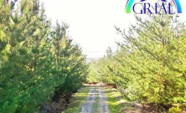 Se Vende Parcela Chepica 6ta Region