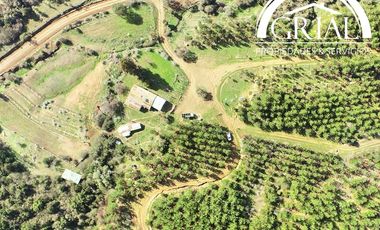 Se Vende Parcela Chepica 6ta Region