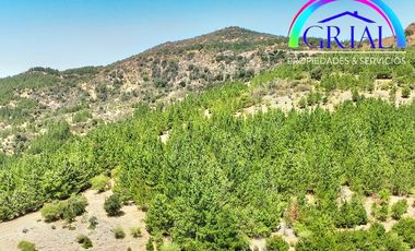 Se Vende Parcela Chepica 6ta Region