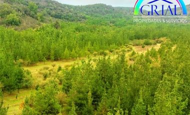 Se Vende Parcela Chepica 6ta Region