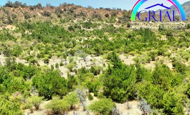 Se Vende Parcela Chepica 6ta Region