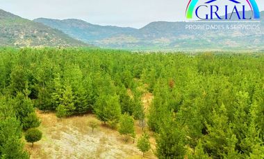 Se Vende Parcela Chepica 6ta Region