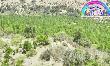 Se Vende Parcela Chepica 6ta Region