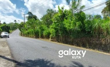 DIJUAL TANAH DESA BELOK SIDAN PETANG BADUNG, BALI