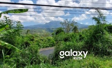 DIJUAL TANAH DESA BELOK SIDAN PETANG BADUNG, BALI