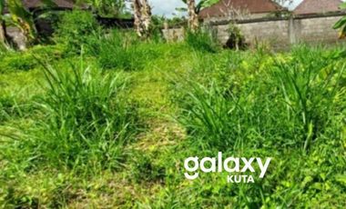 DIJUAL TANAH DESA BELOK SIDAN PETANG BADUNG, BALI