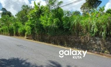 DIJUAL TANAH DESA BELOK SIDAN PETANG BADUNG, BALI