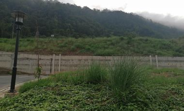 FOR SALE! 268 sqm Residential Lot at Tagaytay Midlands Virea
