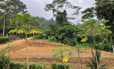 Terreno en venta en Pedro Vicente Maldonado, de 1000 m2, Ecuador