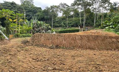 Terreno en venta en Pedro Vicente Maldonado, de 1000 m2, Ecuador