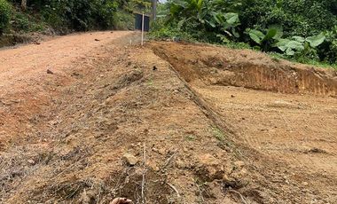 Terreno en venta en Pedro Vicente Maldonado, de 1000 m2, Ecuador