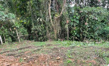 Terreno en venta en Pedro Vicente Maldonado, de 1000 m2, Ecuador