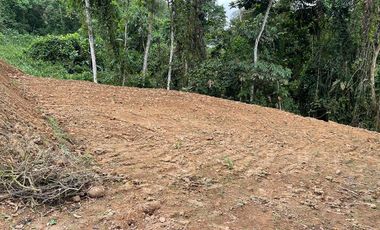 Terreno en venta en Pedro Vicente Maldonado, de 1000 m2, Ecuador