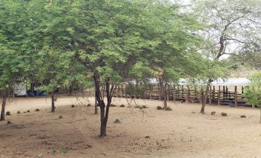 Se vende finca en vía a la costa-Chongón