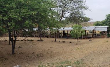 Se vende finca en vía a la costa-Chongón