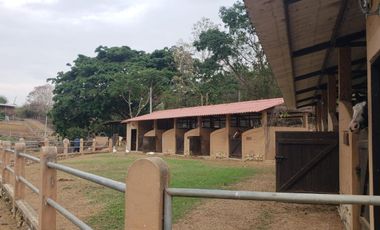 Se vende finca en vía a la costa-Chongón