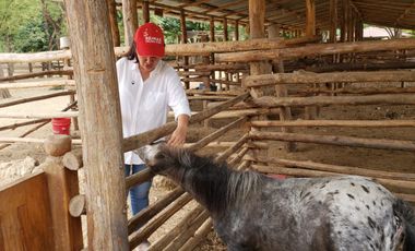 Se vende finca en vía a la costa-Chongón