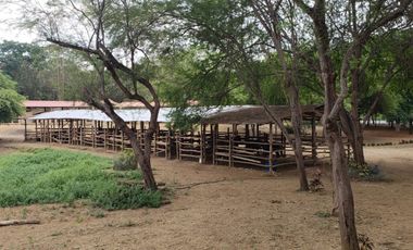 Se vende finca en vía a la costa-Chongón