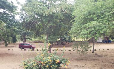 Se vende finca en vía a la costa-Chongón