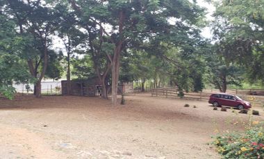 Se vende finca en vía a la costa-Chongón