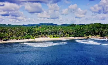 FOR SALE: 30,127sqm Beachfront Lot  in San Isidro, Surigao Del Norte, Siargao Island