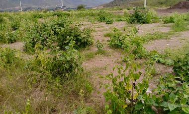 AMPLIO TERRENO DE VENTA, Sector Yunguilla T423
