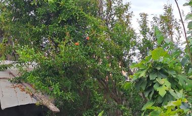 Vendo Casa Comercial 4D1B sector Salvador Allende Antofagasta