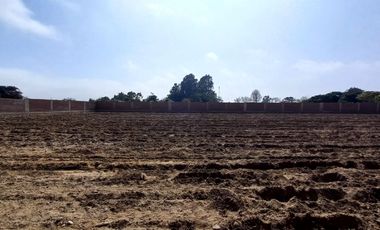 VENDO TERRENO EN MALA – CAÑETE - KM 92.5 ANTIGUA CARRETERA PANAMERICANA SUR
