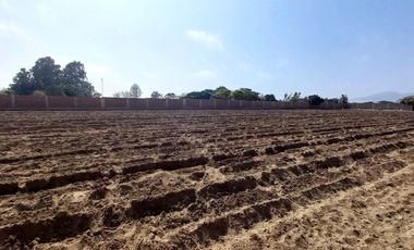 VENDO TERRENO EN MALA – CAÑETE - KM 92.5 ANTIGUA CARRETERA PANAMERICANA SUR