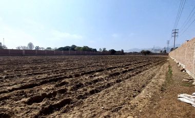 VENDO TERRENO EN MALA – CAÑETE - KM 92.5 ANTIGUA CARRETERA PANAMERICANA SUR