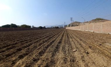 VENDO TERRENO EN MALA – CAÑETE - KM 92.5 ANTIGUA CARRETERA PANAMERICANA SUR