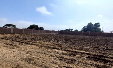 VENDO TERRENO EN MALA – CAÑETE - KM 92.5 ANTIGUA CARRETERA PANAMERICANA SUR