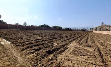 VENDO TERRENO EN MALA – CAÑETE - KM 92.5 ANTIGUA CARRETERA PANAMERICANA SUR