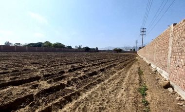 VENDO TERRENO EN MALA – CAÑETE - KM 92.5 ANTIGUA CARRETERA PANAMERICANA SUR