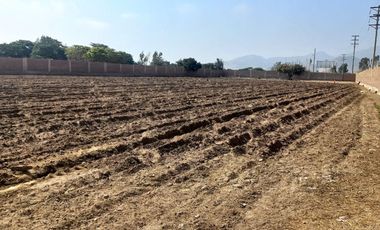 VENDO TERRENO EN MALA – CAÑETE - KM 92.5 ANTIGUA CARRETERA PANAMERICANA SUR
