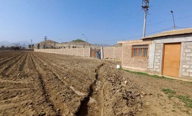 VENDO TERRENO EN MALA – CAÑETE - KM 92.5 ANTIGUA CARRETERA PANAMERICANA SUR