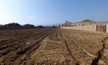 VENDO TERRENO EN MALA – CAÑETE - KM 92.5 ANTIGUA CARRETERA PANAMERICANA SUR