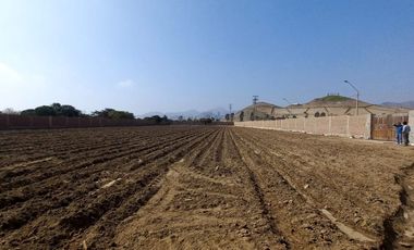 VENDO TERRENO EN MALA – CAÑETE - KM 92.5 ANTIGUA CARRETERA PANAMERICANA SUR