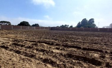 VENDO TERRENO EN MALA – CAÑETE - KM 92.5 ANTIGUA CARRETERA PANAMERICANA SUR
